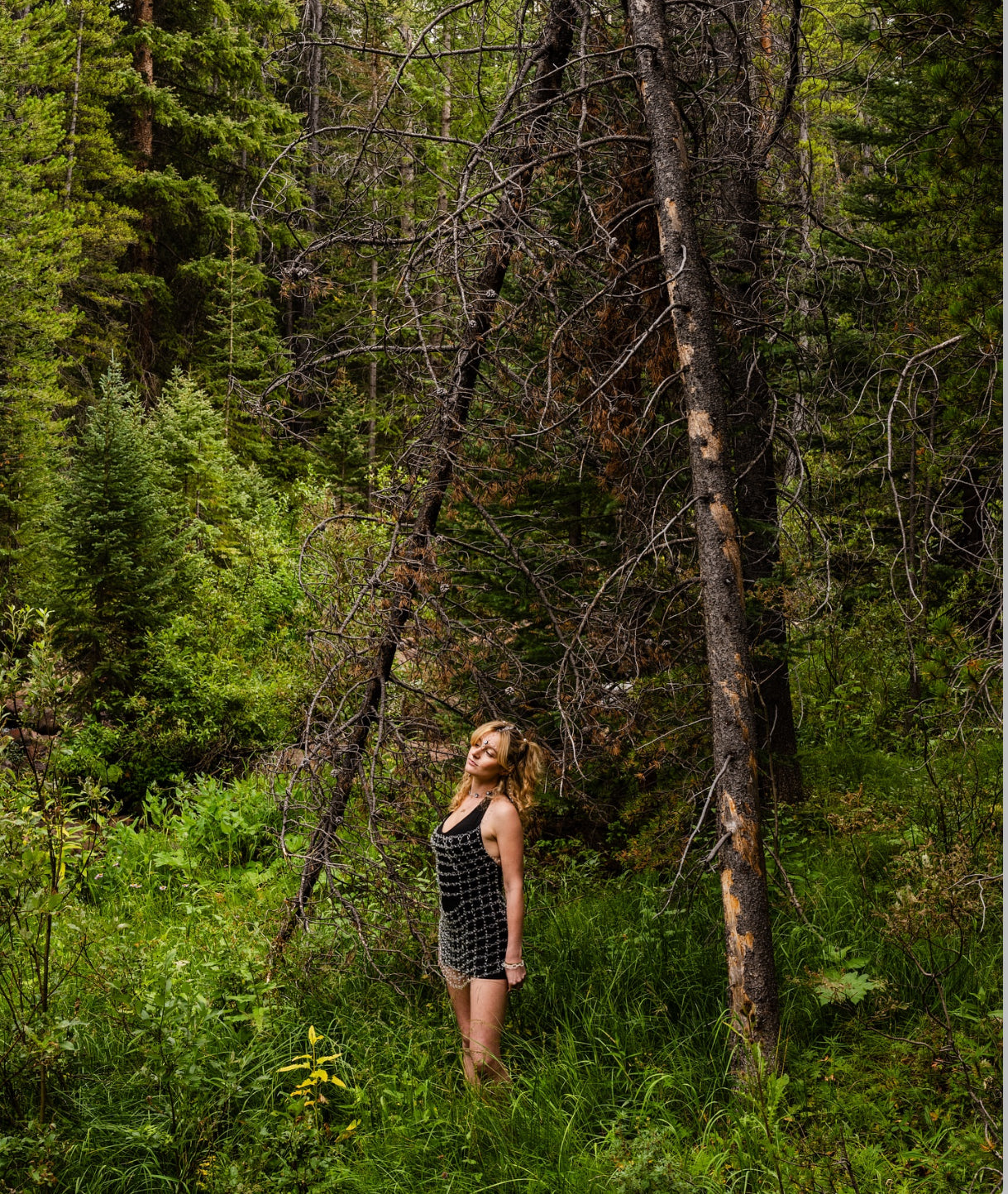Clear Glass Chain Dress